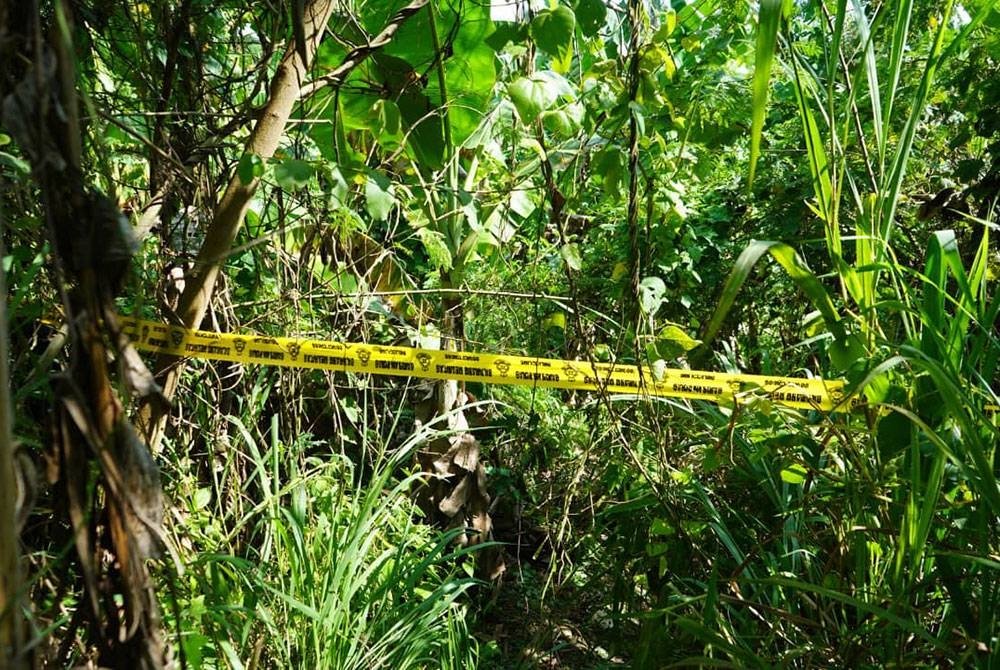 Mayat mangsa ditemukan di dalam semak di kawasan kebun pisang di Kampung Pisang Lahad Datu.