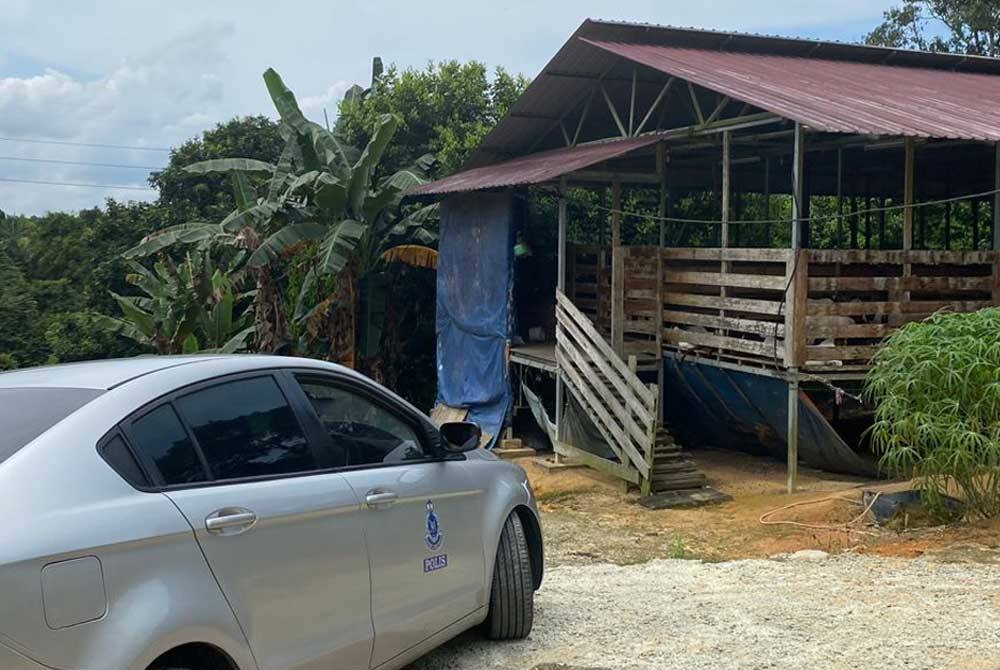 Anggota polis melakukan siasatan selepas menerima aduan kecurian sembilan ekor kambing di kandang ternakan di Kampung Melayu, Seelong Selatan, Senai, Kulai pada Jumaat.