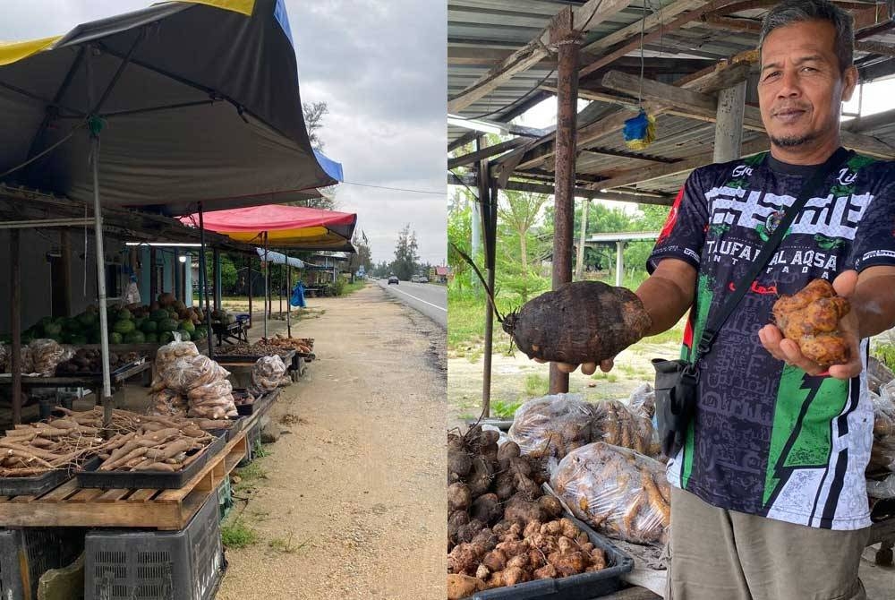 Setiap kali musim tengkujuh, laluan di sepanjang Tok Bali, Pasir Puteh menjadi &#039;syurga&#039; pelbagai jenis ubi-ubian.Gambar kanan: Ubi itik (kanan) dan badak (kiri) turut mendapat permintaan tinggi sepanjang musim tengkujuh.