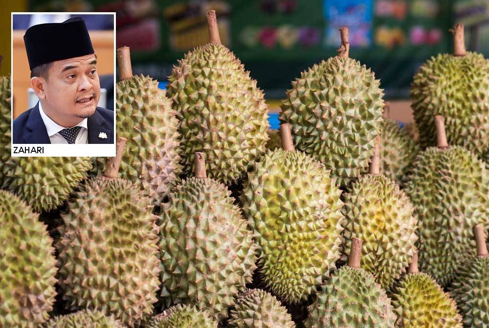 Kerajaan Johor menjangkakan harga durian termasuk Musang King akan jatuh dalam tempoh tiga tahun akan datang, susulan pembukaan ladang durian berskala besar ketika ini. - Gambar hiasan 123RF.