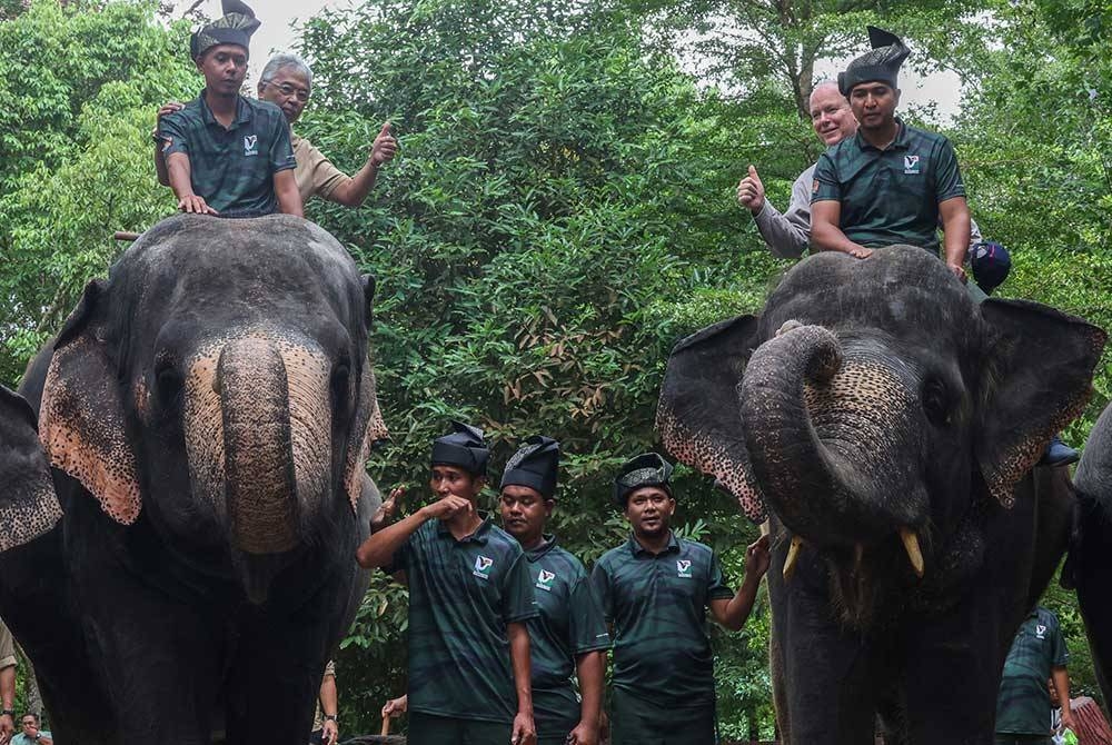 Al-Sultan Abdullah (kiri) berkenan bersama Putera Albert Il (kanan) menunggang gajah semasa membuat lawatan ke Pusat Konservasi Gajah Kebangsaan Kuala Gandah, Lanchang pada Selasa. - Foto Bernama