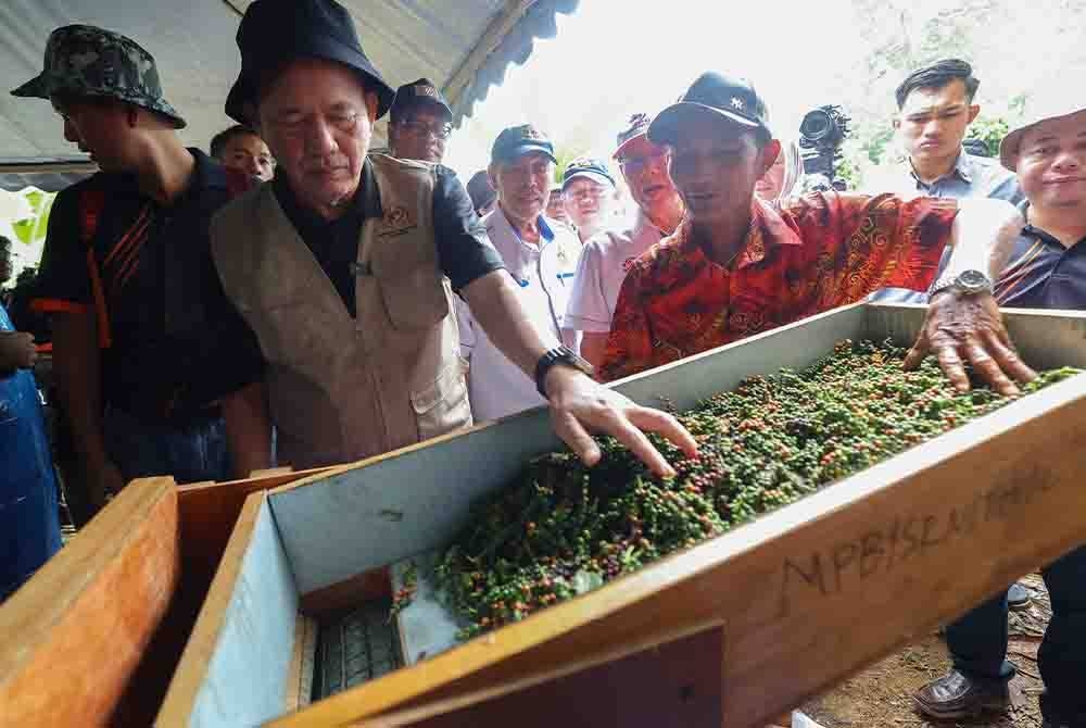 Fadillah (dua dari kiri) meninjau proses mengisar lada hitam pada Sesi Sembang Santai Bersama Pekebun Kecil Lada sempena Trek Komoditi 2023 Zon Sarawak di Kampung Begu pada Selasa. - Foto Bernama