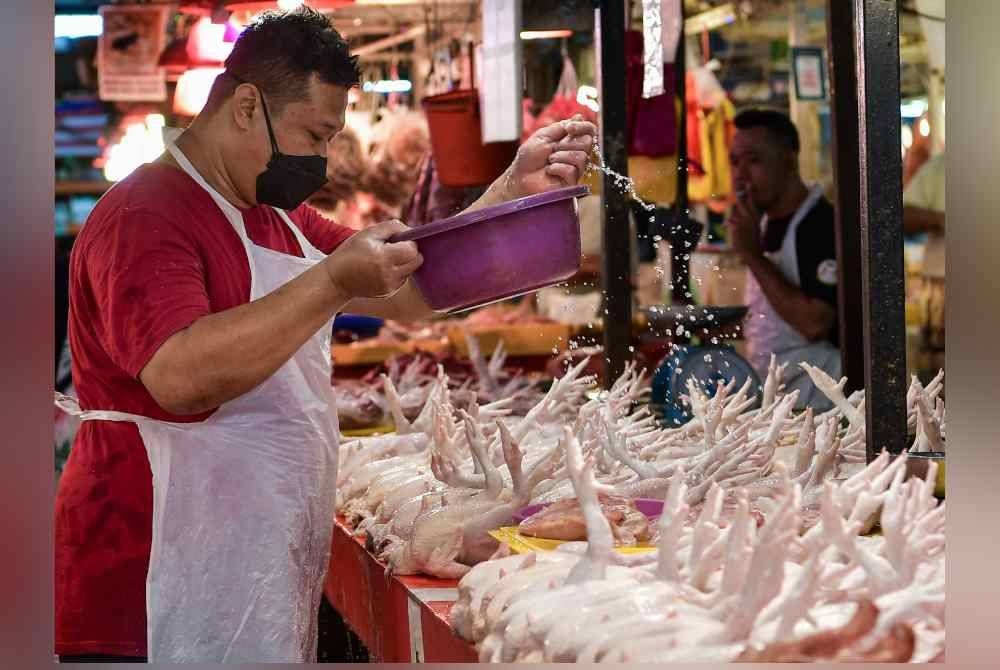 Perbezaan enakmen dan akta yang dilaksanakan di Sabah berkaitan veterinar antara faktor ayam lebih mahal dijual di negeri ini. - Foto Bernama