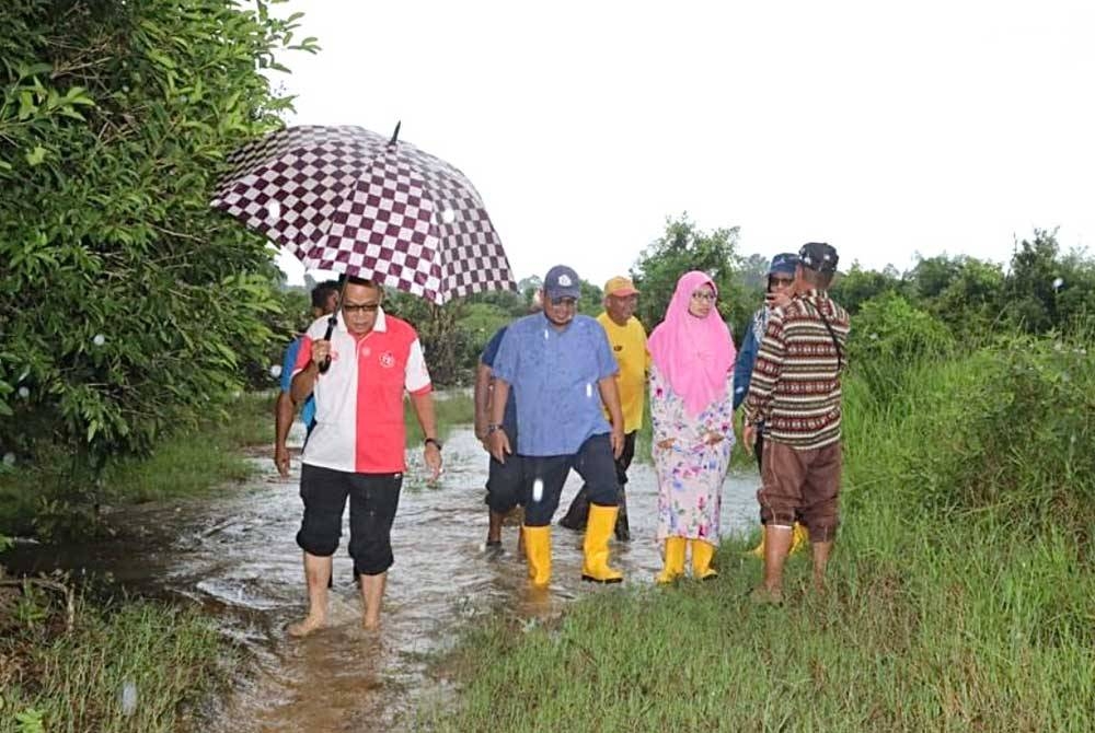 Lawatan ke kawasan tanaman padi yang ditenggelami banjir.