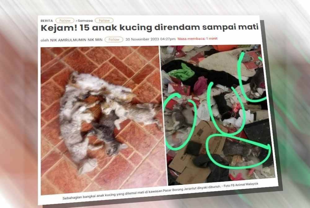 Persatuan Haiwan Malaysia sebelum ini menawarkan wang ganjaran RM5,000 bagi mengesan pihak yang bertanggungjawab membunuh dengan merendam mati 15 anak kucing yang dilaporkan berlaku di Pasar Borong Jerantut.