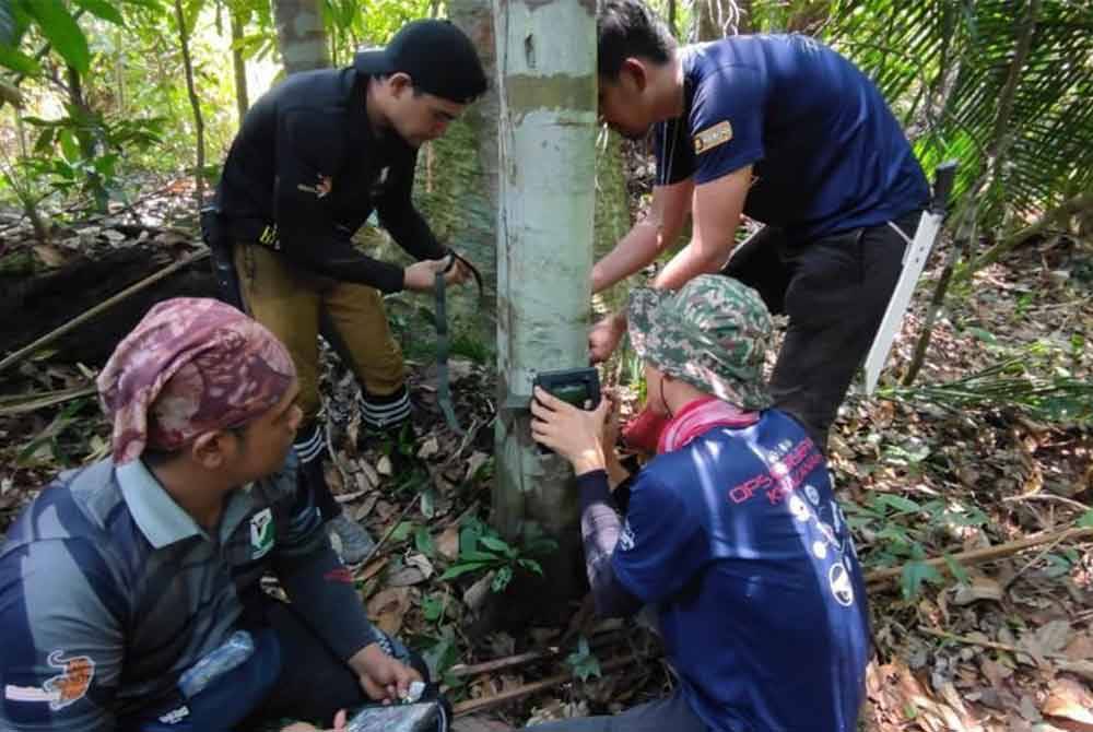 Pemasangan perangkap kamera antara kaedah digunakan Perhilitan Selangor dalam memantau kehadiran Pak Belang.