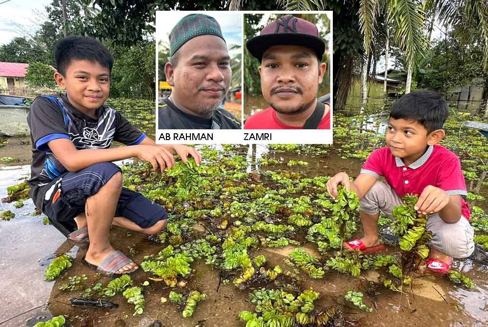 Kanak-kanak menunjukkan kiambang yang hayut ke kawasan Kampung Padang Licin. 