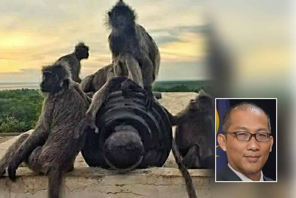 Penduduk diingatkan agar tidak memberi makanan kepada kera dan lotong di Bukit Melawati. Gambar kecil: Mohamad Hanafe