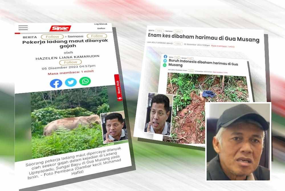 Laporan Sinar Online mengenai hidupan liar terutama harimau dan gajah yang kian mengancam kehidupan manusia. Gambar kecil: Meor Razak