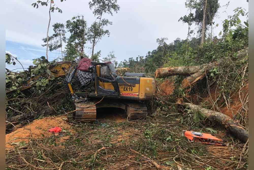 Sebatang pokok balak tumbang menghempap jengkaut dinaiki mangsa.