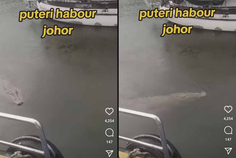 Tangkap layar video Instagram yang tular memaparkan kelibat seekor buaya yang muncul di Puteri Harbour, Iskandar Puteri.