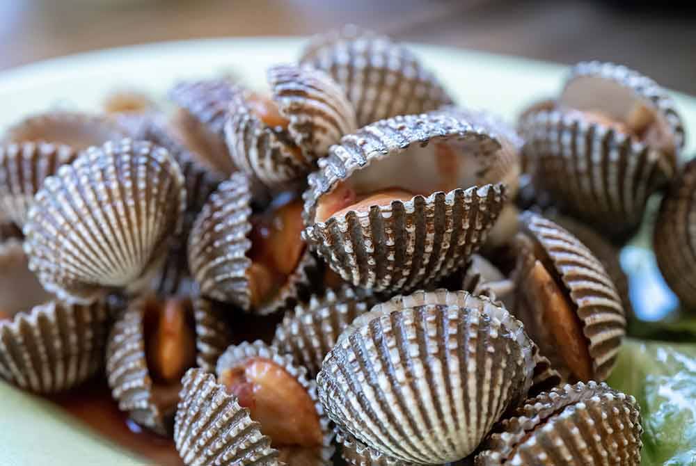 Orang ramai dinasihatkan agar tidak mengutip dan memakan kerang-kerangan dari perairan Teluk Likas. Gambar hiasan - Foto 123rf