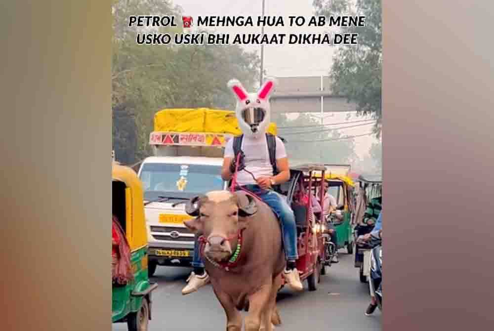 Lelaki yang dikenali sebagai &#039;Bull Rider&#039; menunggang lembu di tengah jalan raya di New Dehli, India. - Agensi