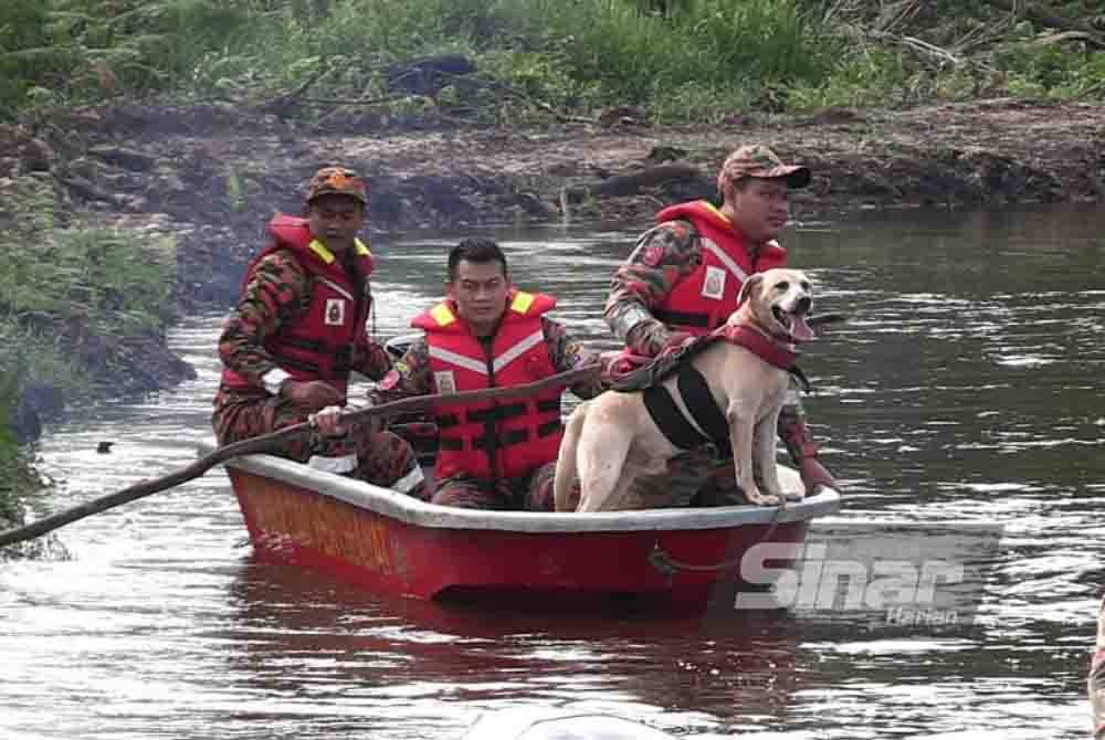 Anjing JBPM menyertai SAR remaja lelaki yang dikhuatiri lemas selepas dipercayai hilang ketika mandi di tali air Perkampungan Indera Sempurna di sini. - Foto Sinar Harian