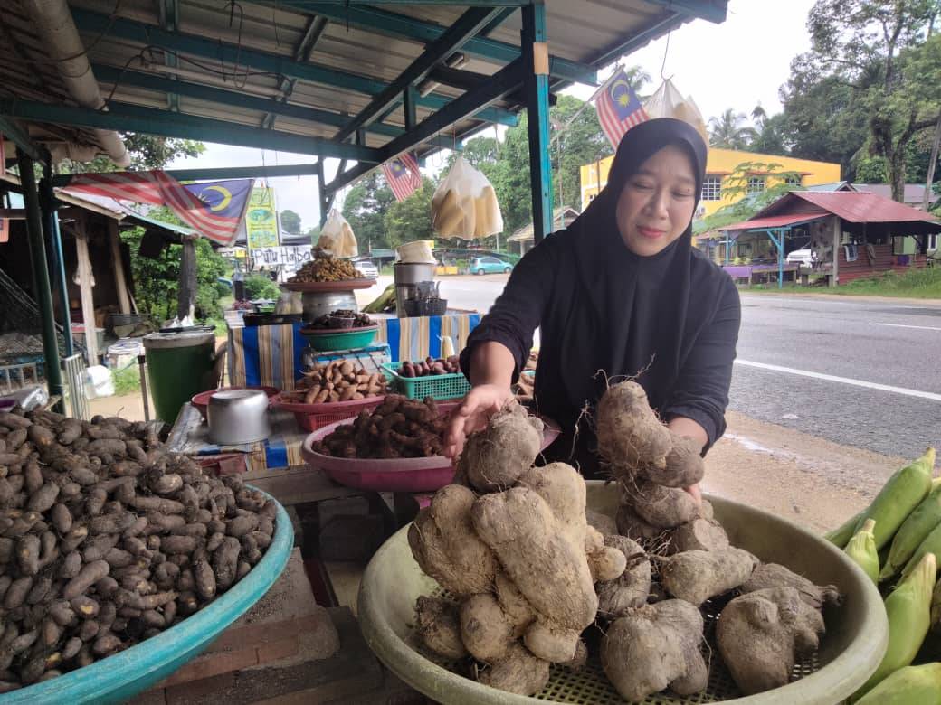 
Rozatul Iffah memilih ubi badak untuk dijual kepada pelanggan