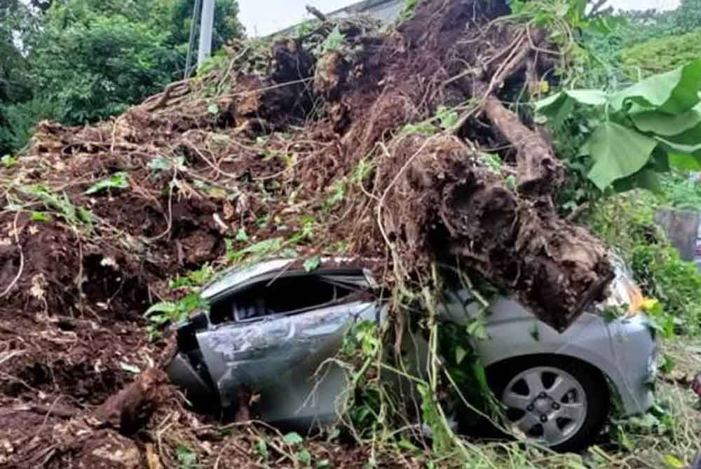 Pokok tumbang menghempap sebuah Toyota Avanza dan motosikal jenis Yamaha 135LC. - Foto JBPM Selangor