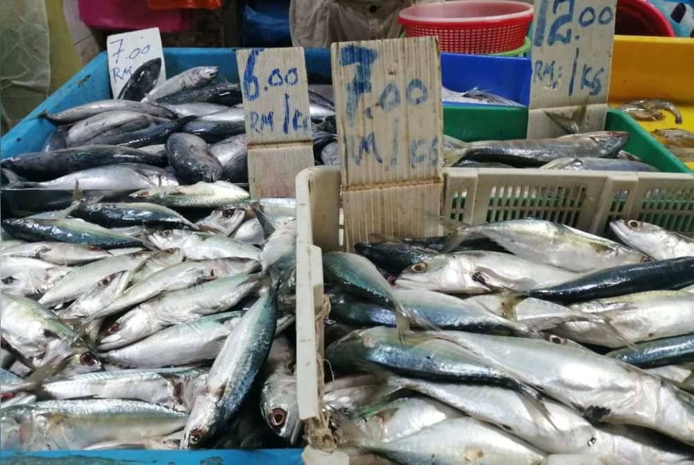 Bekalan ikan sepanjang Monsun Timur Laut cukup untuk menampung keperluan rakyat. - Gambar hiasan