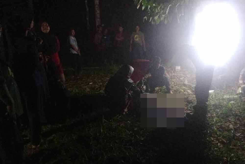 Lelaki maut ditimpa pokok yang ditebang di Sik pada Isnin. Foto pembaca