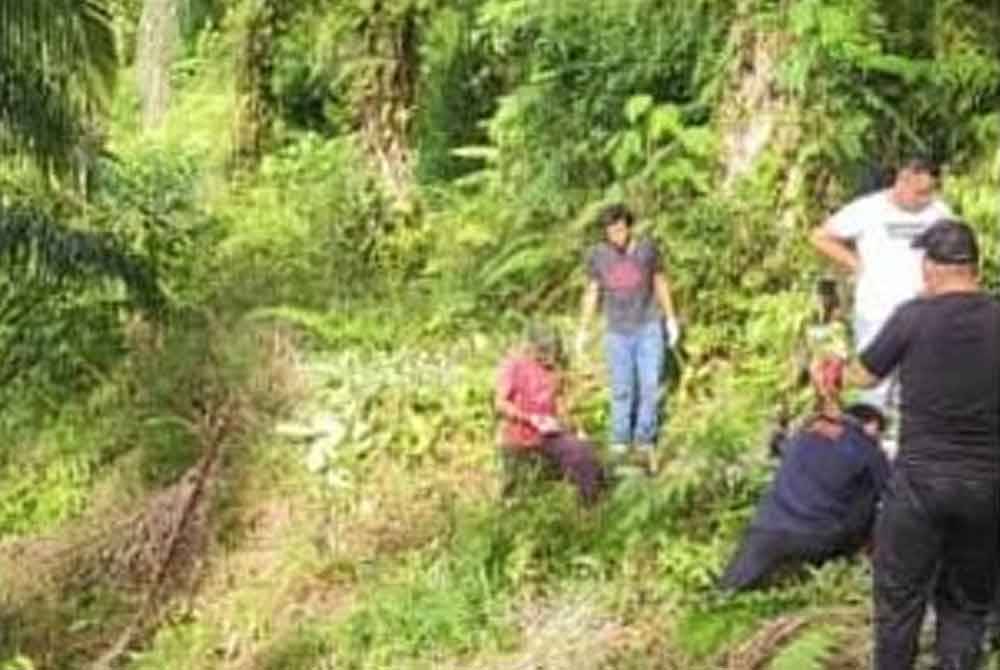 Lokasi kejadian mayat mangsa ditemui dengan kesan tetakan di kawasan belukar ladang kelapa sawit, Kampung Ulu Bambangan, Membakut, Beaufort.