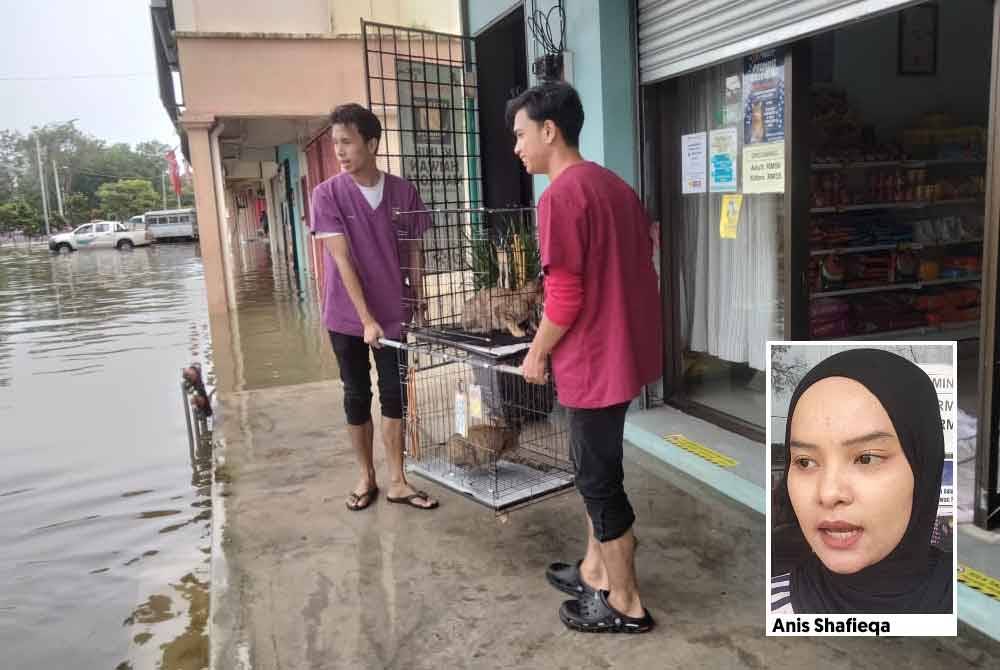 Kakitangan klinik veterinar memindahkan si bulus yang berada di tingkat bawah ke tingkat satu premis itu