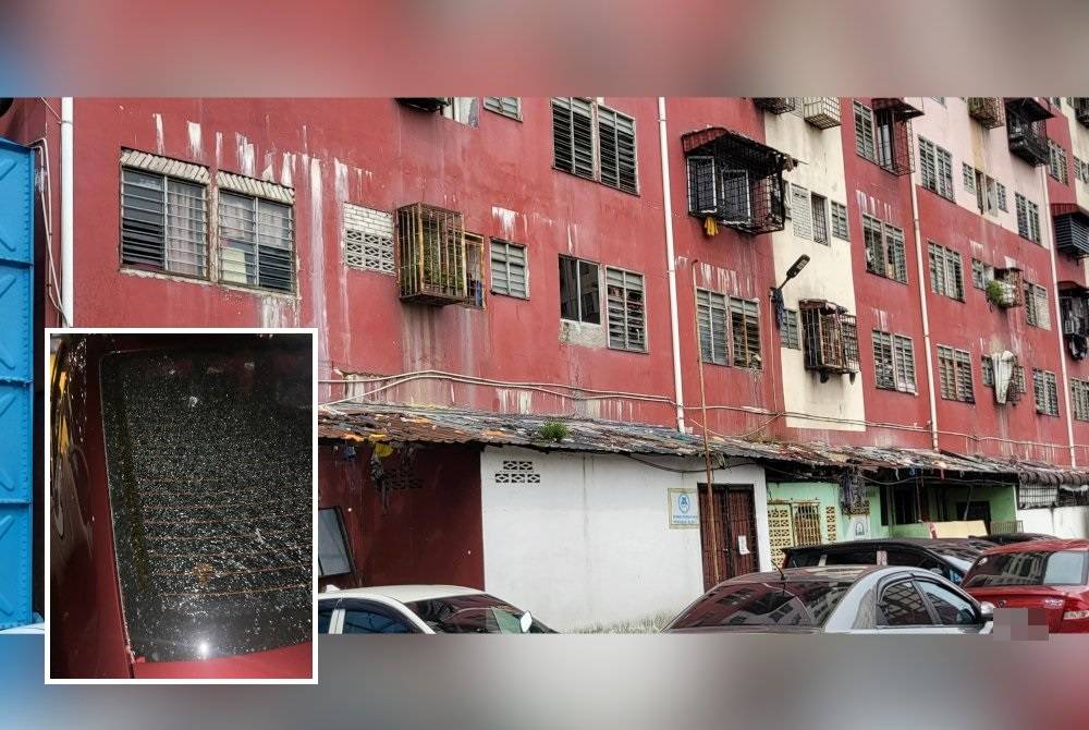 Zink bumbung sekitar kawasan Rumah Pangsa Blok 2 Desa Mentari, Petaling Jaya yang dipenuhi dengan sampah. (Kesan retak pada kenderaan Maziah akibat sampah yang dicampak dari tingkat atas.)