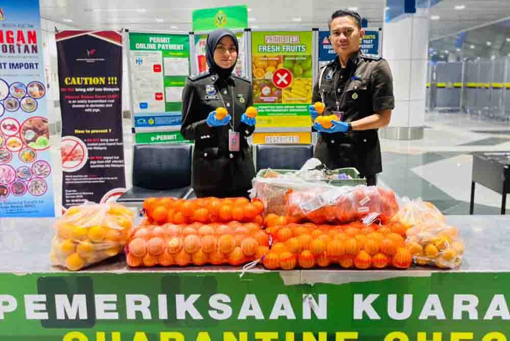 Maqis merampas 60 kg limau dari Pakistan di KLIA, Sepang pada Selasa kerana tidak mempunyai permit dan sijil fitosanitasi yang sah.