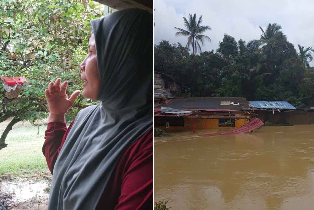 Gambar kiri: Rozainah menunjukkan sarang kelulut ditambat di pokok. Gambar kanan: Antara rumah yang masih dinaiki air di Kampung Batu 23.