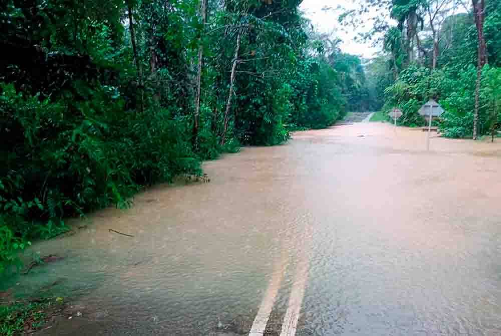 Beberapa lokasi jalan masuk ke Taman Negara Johor Endau-Rompin (Peta) terputus akibat limpahan air sungai. - Foto Bernama.