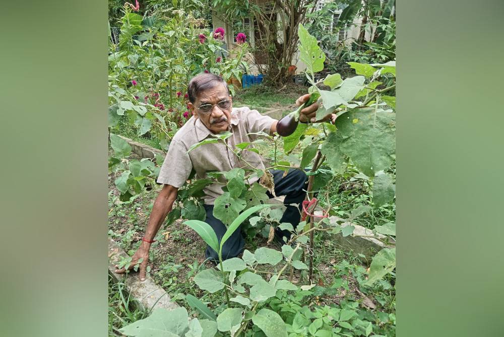 Subbarow menyarankan orang ramai menanam sayur-sayuran sendiri di rumah.