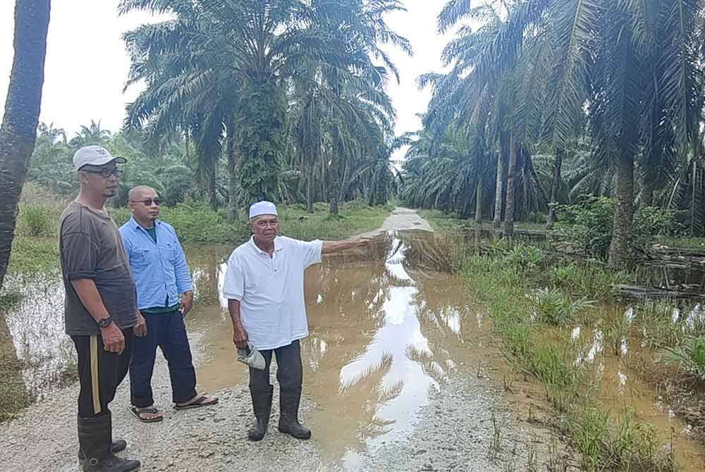 Mohamad (kanan) menunjukkan keadaan air banjir melimpah ke kawasan kebun kelapa sawit penduduk di Kampung Parit Mahang di sini pada Selasa.