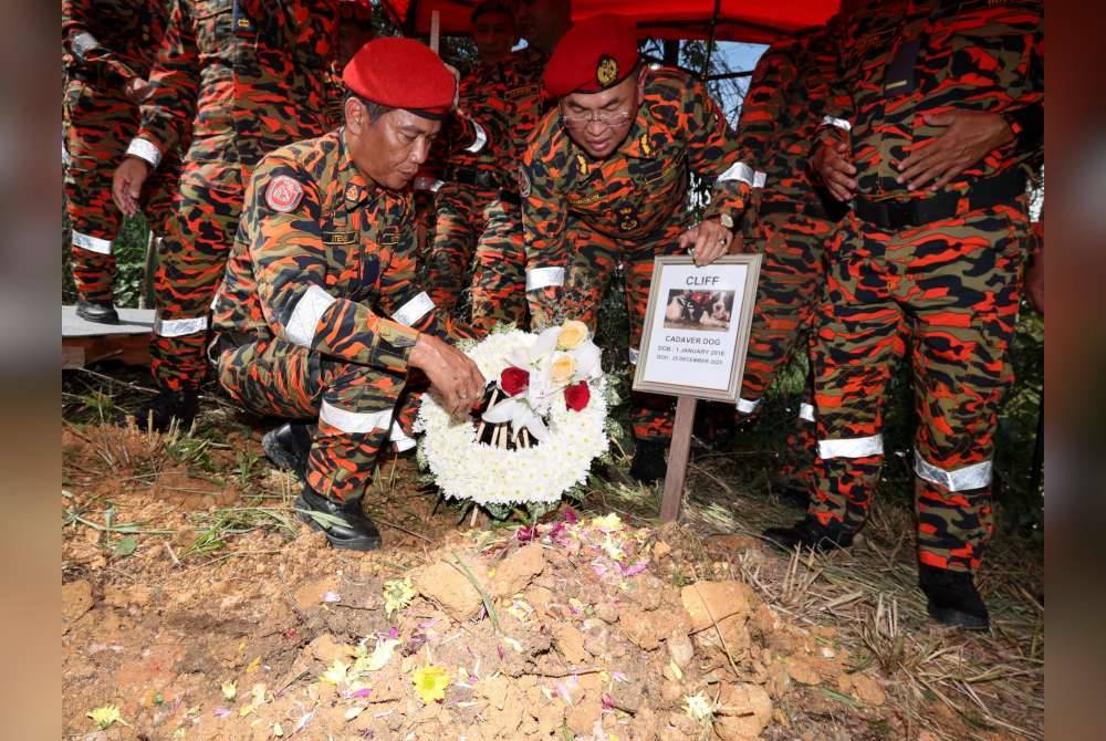 Khirudin (dua dari kiri) bersama anggota pasukan K9 memberi penghormatan terakhir kepada anjing pengesan yang dipanggil 'Cliff' pada pengebumian binatang itu di Jabatan Bomba dan Penyelamat Bomba, Serian hari ini. Foto Bernama