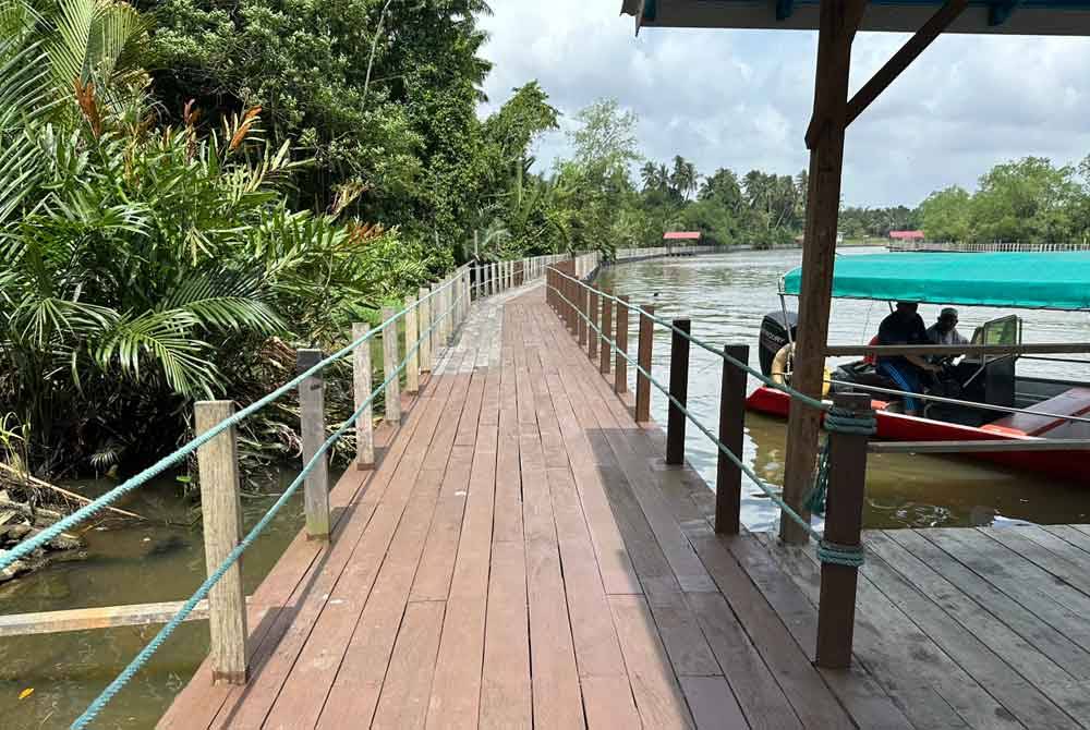 Titi yang masih kukuh dan cantik di Kampung Pulau Tengah kini tidak lagi menerima kunjungan pelancong.