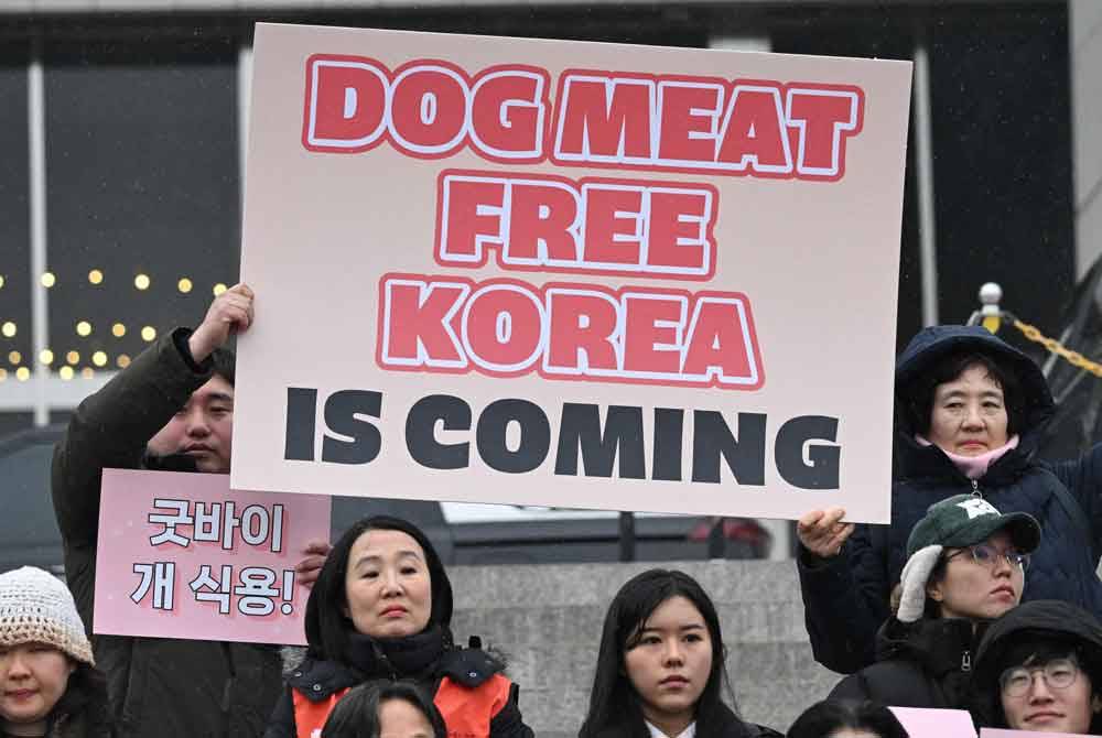 Parlimen Korea Selatan pada Selasa meluluskan Rang Undang-Undang (RUU) khas yang mengharamkan pengambilan daging anjing di negara itu. Foto AFP