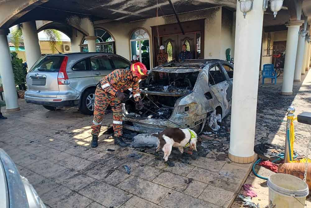 Proses forensik di lokasi kejadian turut dibantu Unit Anjing Pengesan JBPM di lokasi kejadian kebakaran rumah Ahli Parlimen Beruas, Datuk Ngeh Koo Ham di Taman Semarak Jaya, Ayer Tawar, Manjung pada Rabu. FOTO JBPM Perak