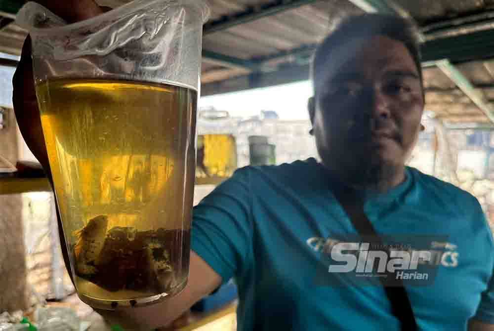 Ikan laga dalam bekas plastik mati kerana kepanasan.