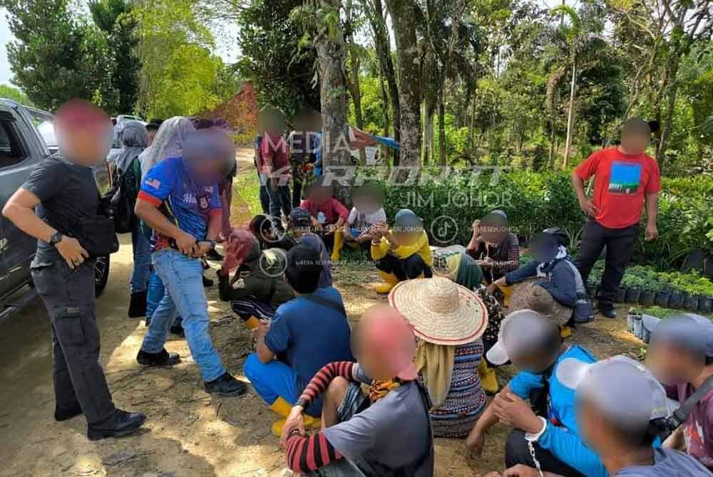 Sembilan pekerja asing ditahan pihak imigresen di tapak semaian di Iskandar Puteri pada Isnin kerana bekerja tanpa permit yang sah dan tinggal lebih masa.