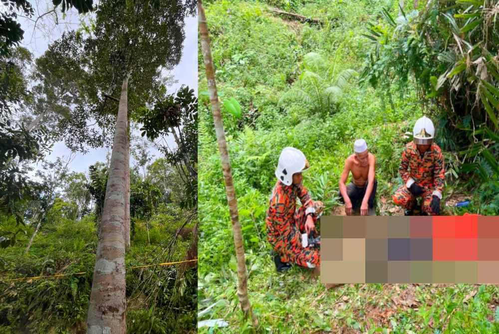 
Mangsa maut selepas terjatuh dari pokok durian dengan ketinggian 30 meter. Foto ihsan JBPM