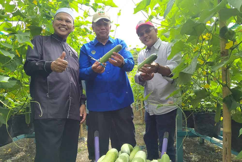 Mohd Fahmi (kiri) bersama Meor Roslan (tengah) dan Nordin menunjukkan hasil tanaman timun yang diusahakan oleh Maahad Tahfiz dan Kemukjizatan Al-Quran, Ayer Jernih, di sini.