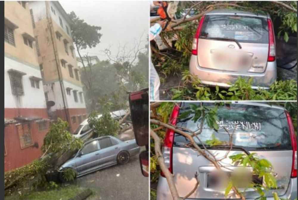 Seorang wanita berdepan detik cemas apabila sebatang pokok di Batu Nilam 34, Bukit Tinggi di Klang menghempap kenderaannya dalam kejadian ketika hujan lebat petang tadi. - Foto Bomba Selangor