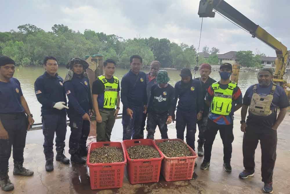 Sebahagian kerang yang dirampas dalam operasi berkenaan.