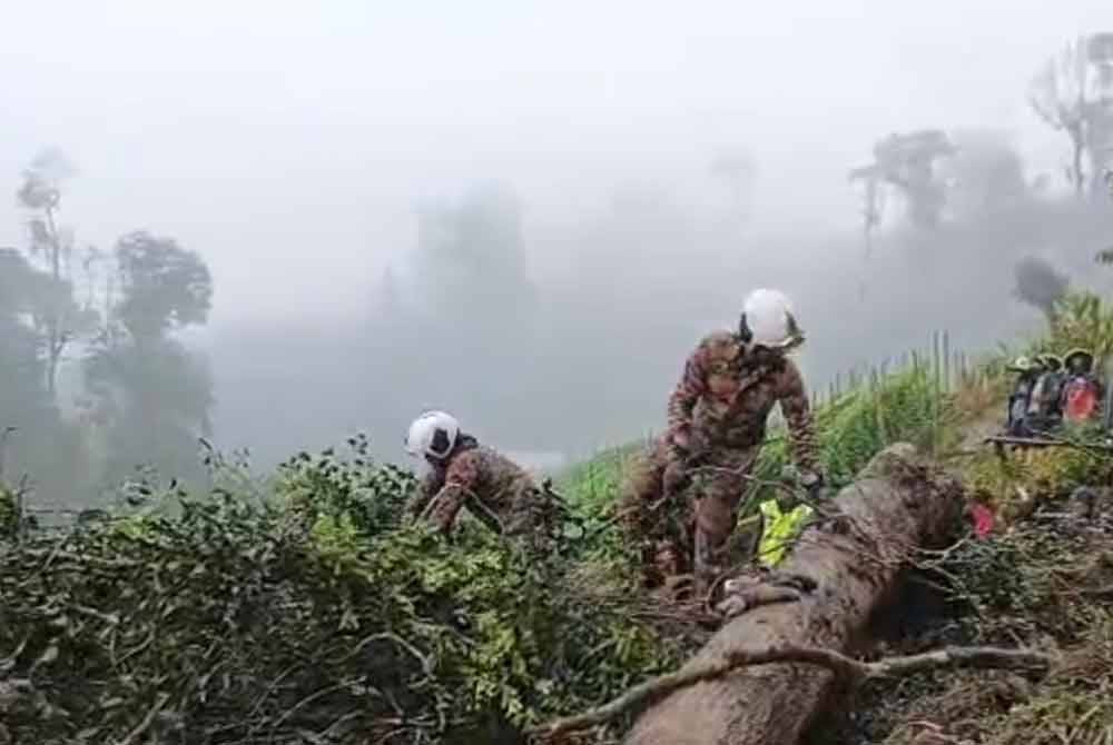 Anggota bomba melakukan pencarian mangsa di lokasi kejadian tanah runtuh di Cameron Highlands pada Jumaat.