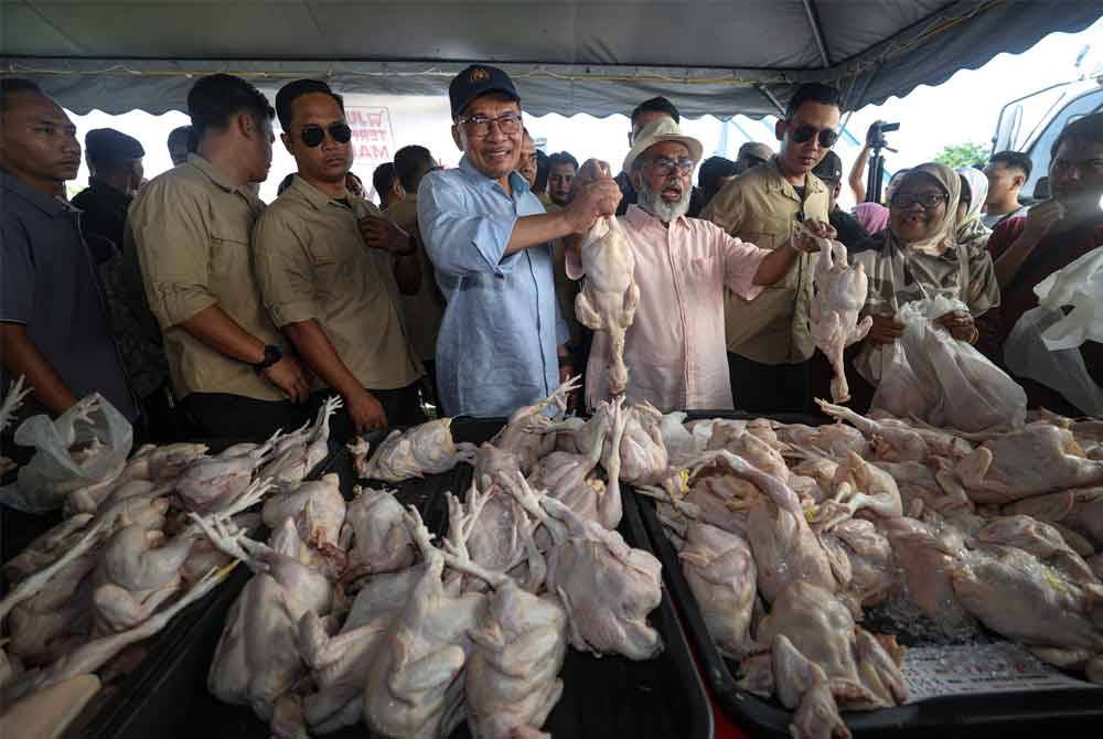 Perdana Menteri, Datuk Seri Anwar Ibrahim meninjau jualan ayam segar ketika menghadiri Program Jualan Termurah Madani di Padang Taman Klebang Restu pada Ahad.Foto Bernama