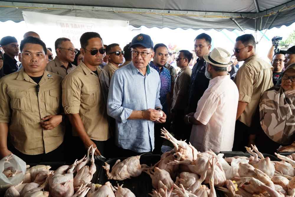 Anwar melawat khemah jualan ayam pada program Jualan Termurah Madani barangan basah dan kering di Padang Taman Klebang Restu, Chemor pada Ahad.