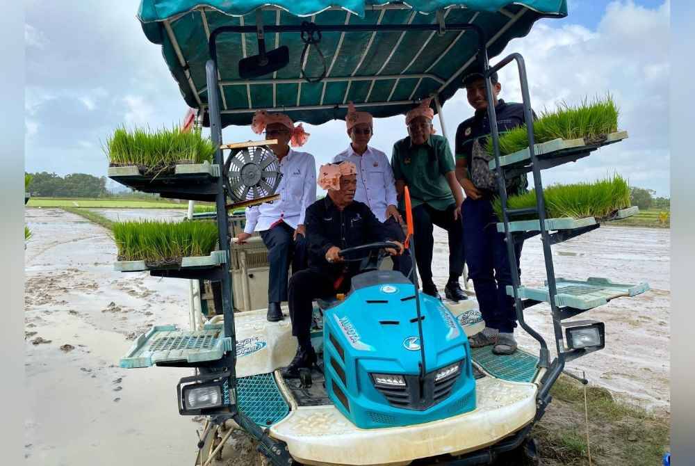 Mohamad mengendalikan mesin menanam padi di bendang Tok Ajam, Pasir Puteh.