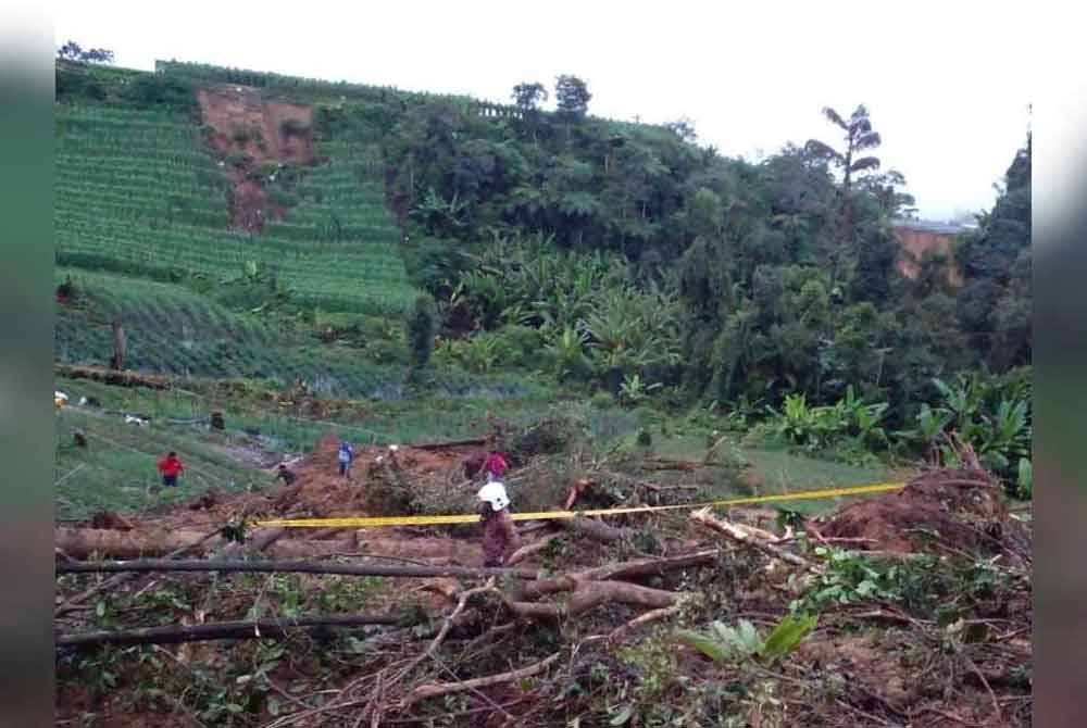 Insiden tanah runtuh di Blue Valley Cameron Highlands.