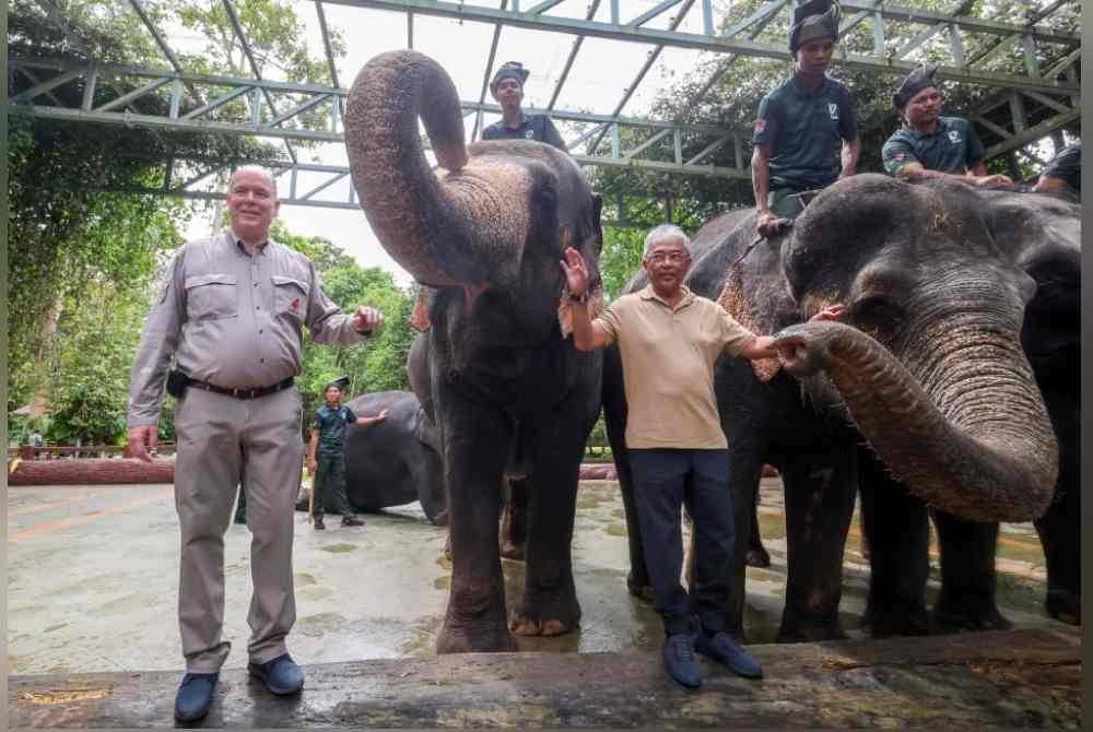 Al-Sultan Abdullah berkenan mencemar duli bersama Putera Albert Il melawat Pusat Konservasi Harimau Malaya, Lanchang tahun lalu.