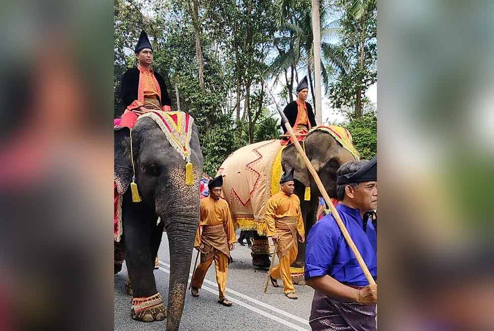 Dua gajah denak dari Pusat Konservasi Gajah Kebangsaan (PKGK) Kuala Gandah, Alam dan Sanum mengiringi perarakan keberangkatan pulang Al-Sultan Abdullah dan Tunku Azizah ke Pahang pada Selasa.