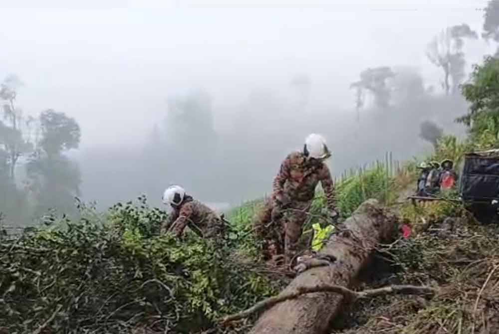 Anggota bomba melakukan pencarian mangsa di lokasi kejadian tanah runtuh di Cameron Highlands pada Jumaat.