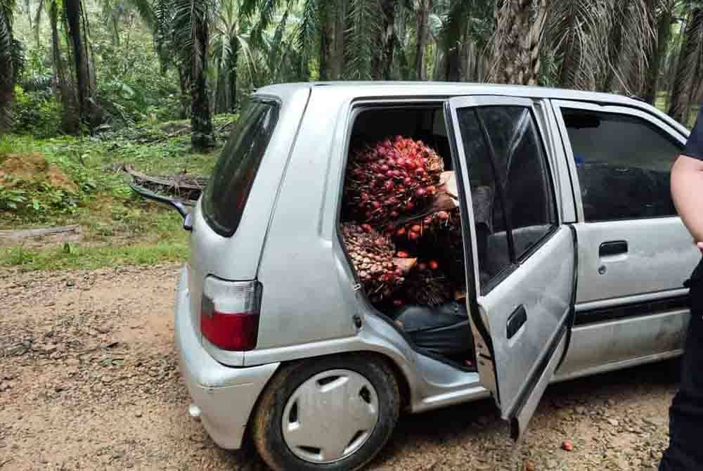 Kereta Perodua Kancil yang digunakan suspek untuk mencuri buah kelapa sawit. Foto IPD Hulu Terengganu