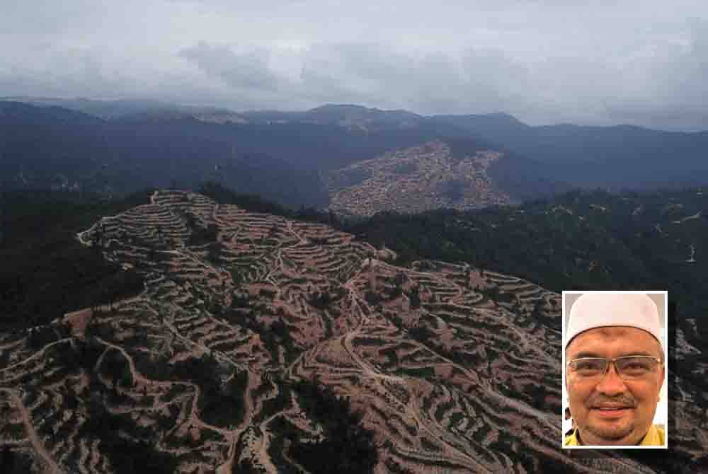 Kawasan hutan yang terkesan kerana pembalakan. (Foto hiasan/Facebook Aktivis Sahabat Alam) Gambar kecil: Mohamed Fadzli